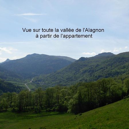 Vacances Au Pied Des Monts Du Cantal Laveissiere Exterior photo