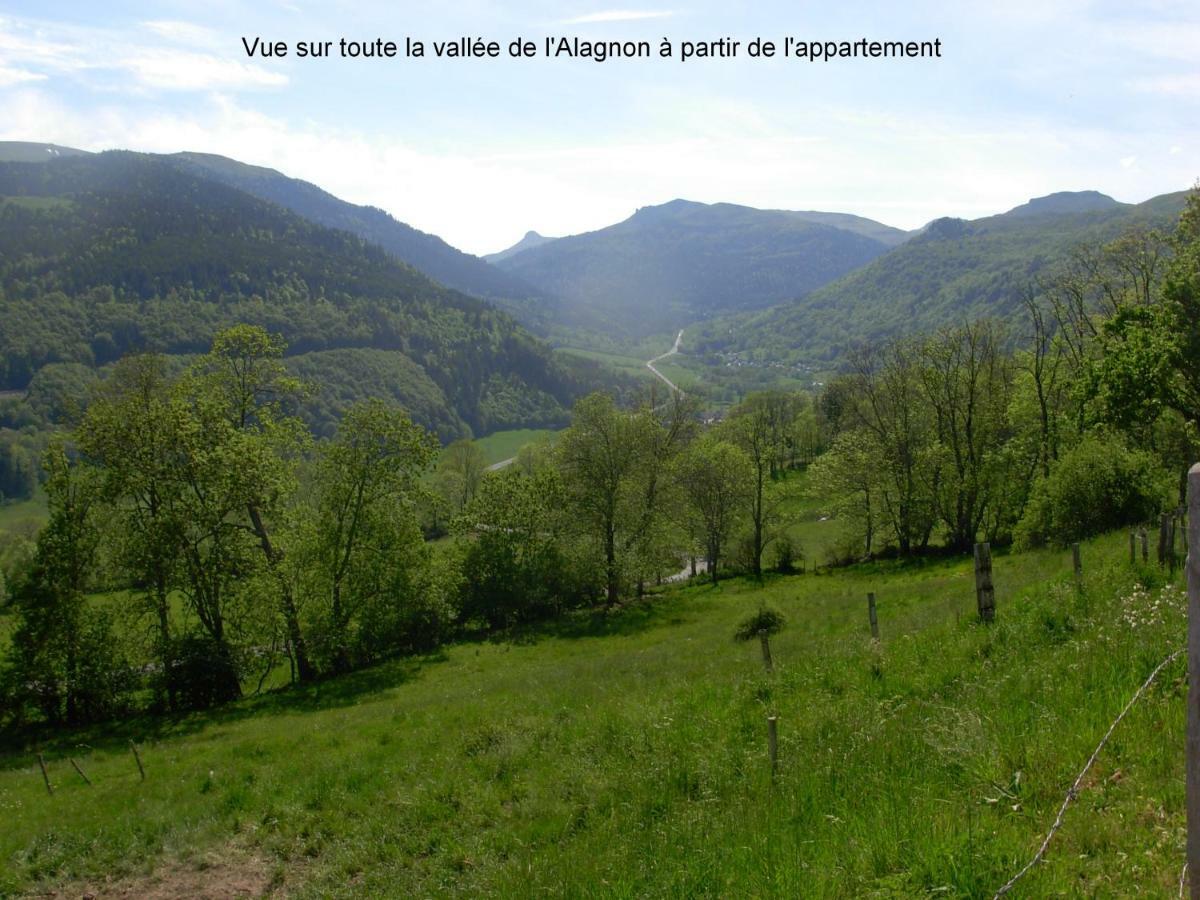 Vacances Au Pied Des Monts Du Cantal Laveissiere Exterior photo