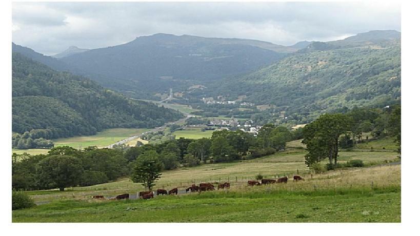 Vacances Au Pied Des Monts Du Cantal Laveissiere Exterior photo