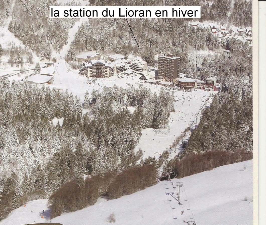 Vacances Au Pied Des Monts Du Cantal Laveissiere Exterior photo